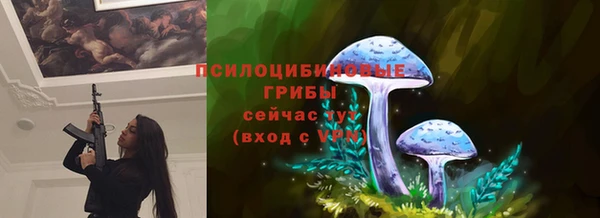 ПСИЛОЦИБИНОВЫЕ ГРИБЫ Бородино